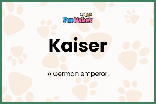 Significado del Nombre Kaiser para Perro