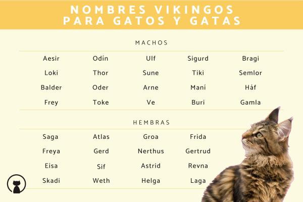 Nombres Vikingos para Gatos Machos
