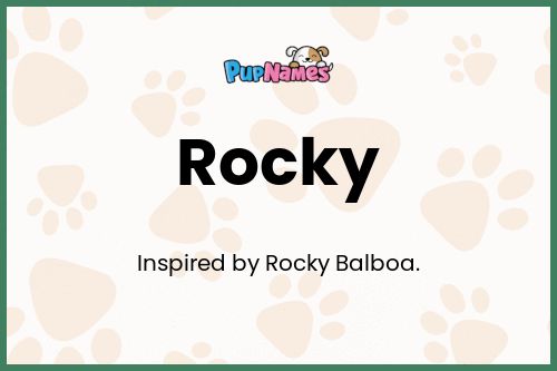 Significado del Nombre Rocky para Perro
